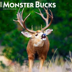 2025 Calendars|BrownTrout 2025 Monster Bucks 12" x 24" Monthly Square Wall Calendar (9781975477448)