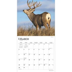 2025 Calendars|BrownTrout 2025 Monster Bucks 12