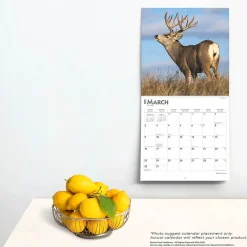 2025 Calendars|BrownTrout 2025 Monster Bucks 12