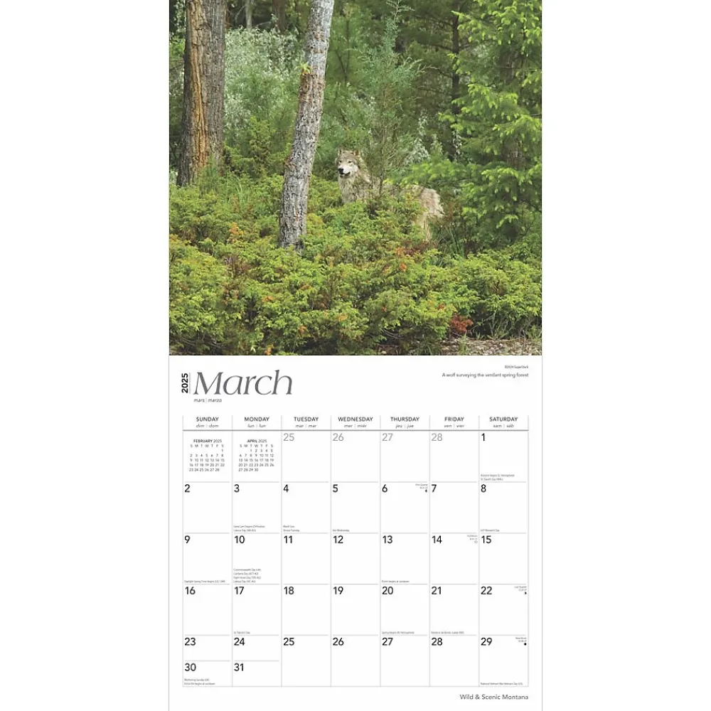 2025 Calendars|BrownTrout 2025 Montana Wild & Scenic 12" x 12" Monthly Wall Calendar (9781975475314)
