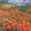 2025 Calendars|BrownTrout 2025 Mountain Wildflowers 12" x 12" Monthly Square Wall Calendar (9781975476038)
