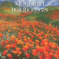 2025 Calendars|BrownTrout 2025 Mountain Wildflowers 12" x 12" Monthly Square Wall Calendar (9781975476038)