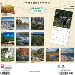 2025 Calendars|BrownTrout 2025 New York Wild & Scenic 12" x 24" Monthly Square Wall Calendar (9781975475437)