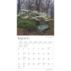 2025 Calendars|BrownTrout 2025 New York Wild & Scenic 12