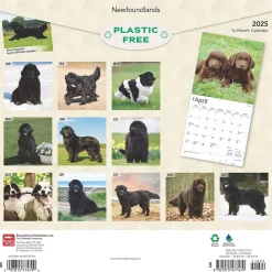 2025 Calendars|BrownTrout 2025 Newfoundlands 12" x 12" Monthly Wall Calendar (9781975477479)
