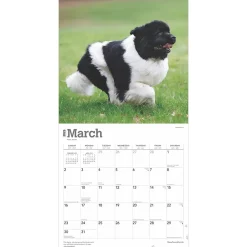 2025 Calendars|BrownTrout 2025 Newfoundlands 12