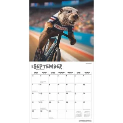 2025 Calendars|BrownTrout 2025 Otter Olympics 12