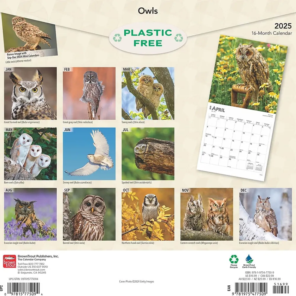 2025 Calendars|BrownTrout 2025 Owls 12" x 12" Monthly Wall Calendar (9781975477509)