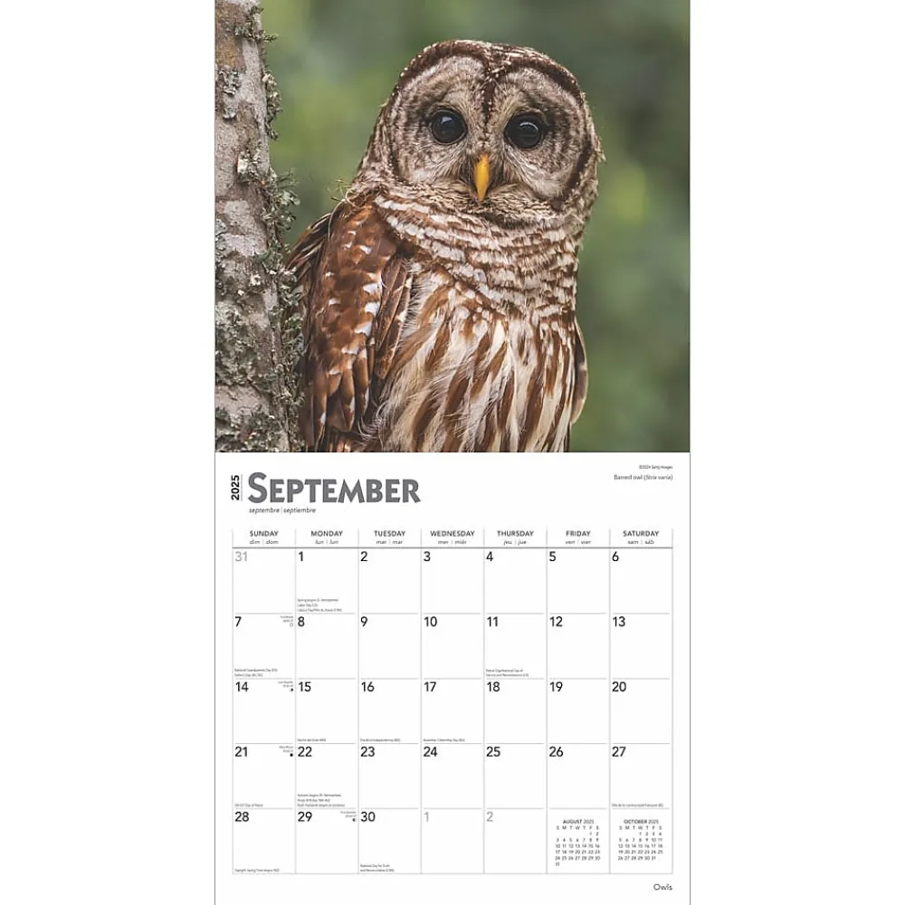 2025 Calendars|BrownTrout 2025 Owls 12" x 12" Monthly Wall Calendar (9781975477509)