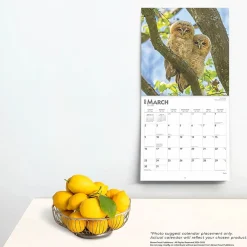 2025 Calendars|BrownTrout 2025 Owls 12