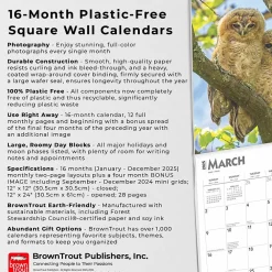 2025 Calendars|BrownTrout 2025 Owls 12