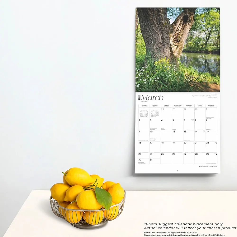 2025 Calendars|BrownTrout 2025 Pennsylvania Wild & Scenic 12" x 12" Monthly Wall Calendar (9781975475529)