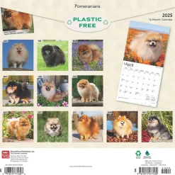 2025 Calendars|BrownTrout 2025 Pomeranians 12" x 12" Monthly Wall Calendar (9781975477530)