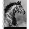 2025 Planners|BrownTrout 2025 Portrait Series: The Noble Horse 6" x 7.75" Weekly Engagement Planner, Paper Cover, Multicolored (9781975473228)