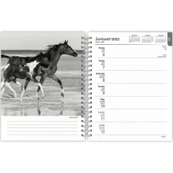 2025 Planners|BrownTrout 2025 Portrait Series: The Noble Horse 6