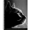 2025 Planners|BrownTrout 2025 Portrait Series: The Regal Cat 6" x 7.75" Weekly Engagement Planner, Paper Cover, Multicolored (9781975473211)