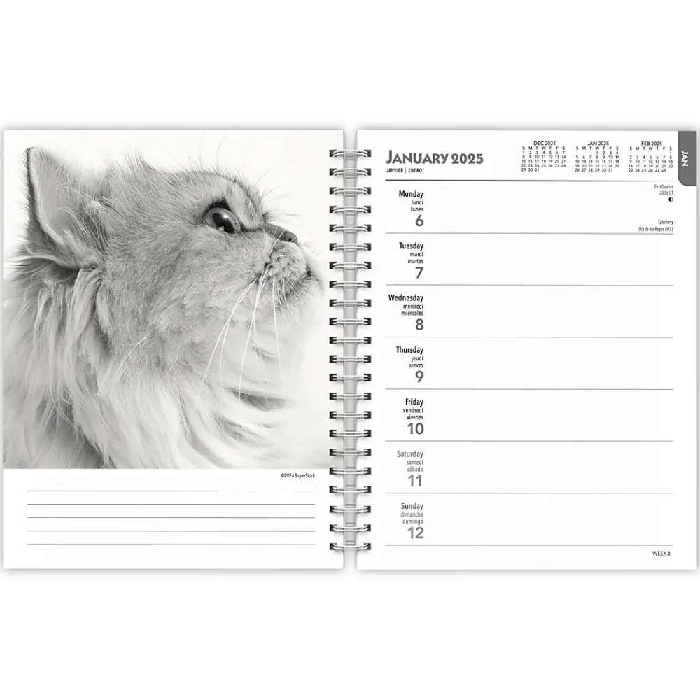 2025 Planners|BrownTrout 2025 Portrait Series: The Regal Cat 6" x 7.75" Weekly Engagement Planner, Paper Cover, Multicolored (9781975473211)