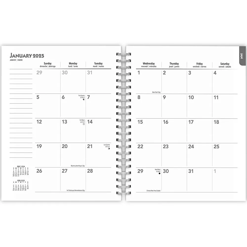 2025 Planners|BrownTrout 2025 Portrait Series: The Regal Cat 6" x 7.75" Weekly Engagement Planner, Paper Cover, Multicolored (9781975473211)