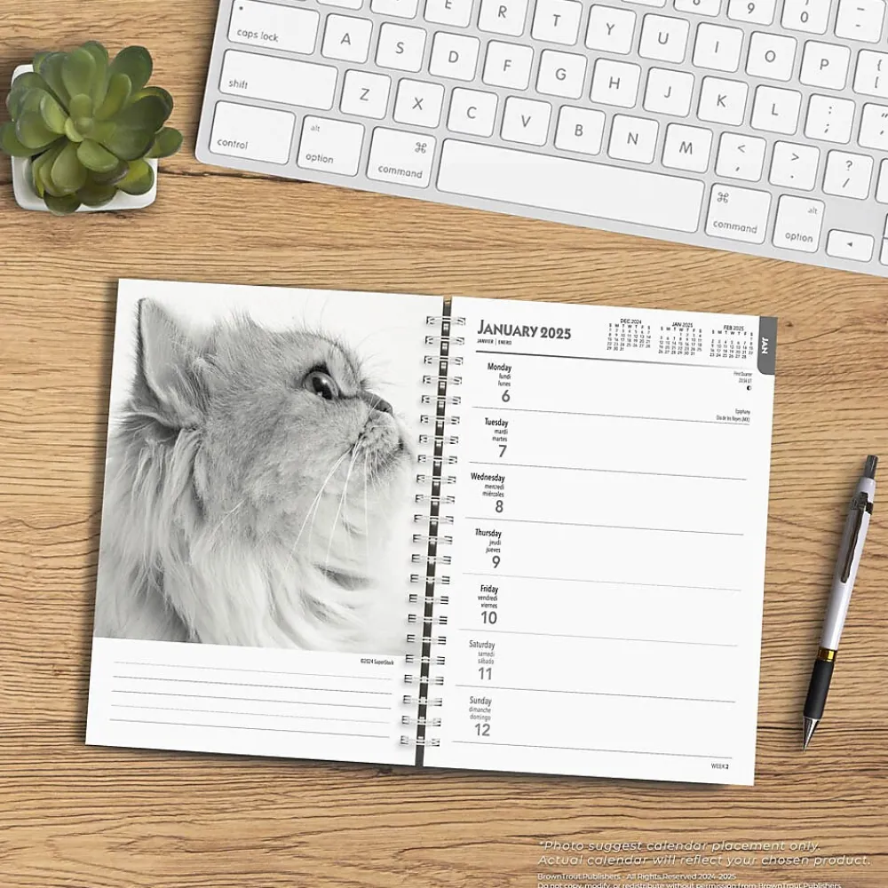 2025 Planners|BrownTrout 2025 Portrait Series: The Regal Cat 6" x 7.75" Weekly Engagement Planner, Paper Cover, Multicolored (9781975473211)
