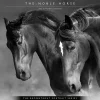 2025 Calendars|BrownTrout 2025 Portrait Series: The Noble Horse 12" x 12" Monthly Wall Calendar (9781975477158)