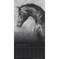 2025 Calendars|BrownTrout 2025 Portrait Series: The Noble Horse 12