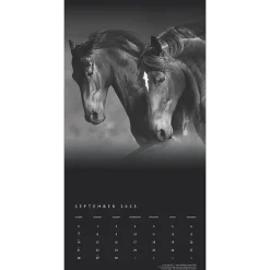 2025 Calendars|BrownTrout 2025 Portrait Series: The Noble Horse 12