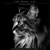 2025 Calendars|BrownTrout 2025 Portrait Series: The Regal Cat 12" x 12" Monthly Wall Calendar (9781975476809)