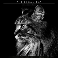 2025 Calendars|BrownTrout 2025 Portrait Series: The Regal Cat 12" x 12" Monthly Wall Calendar (9781975476809)