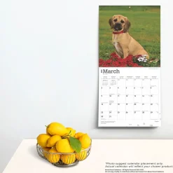 2025 Calendars|BrownTrout 2025 Puggles 12