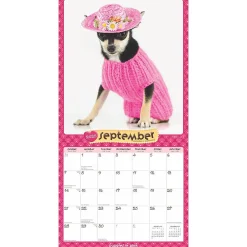 2025 Calendars|BrownTrout 2025 Puppies in Pink 12