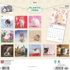 2025 Calendars|BrownTrout 2025 Rats 12" x 12" Monthly Wall Calendar (9781975477615)