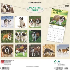 2025 Calendars|BrownTrout 2025 Saint Bernards 12" x 24" Monthly Square Wall Calendar (9781975477653)