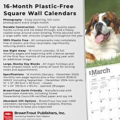 2025 Calendars|BrownTrout 2025 Saint Bernards 12
