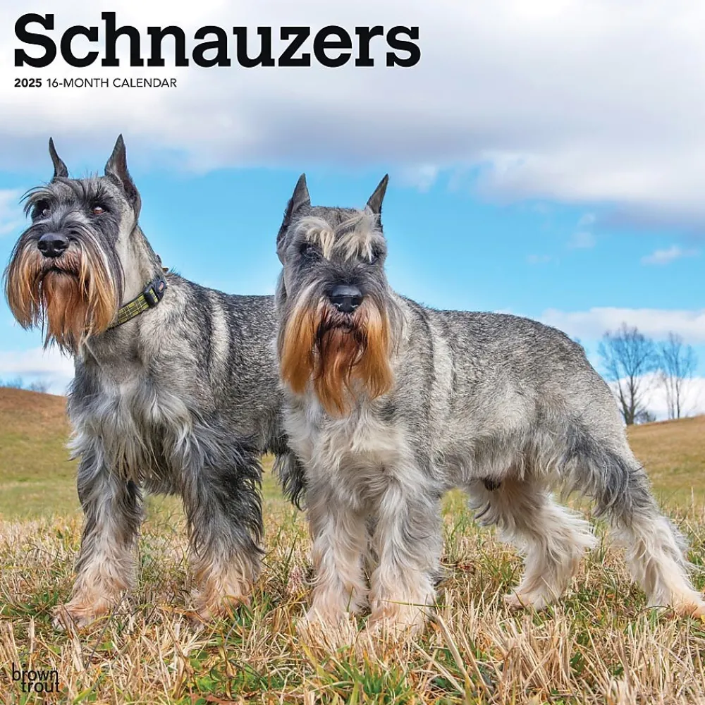 2025 Calendars|BrownTrout 2025 Schnauzers 12" x 24" Monthly Square Wall Calendar (9781975477677)