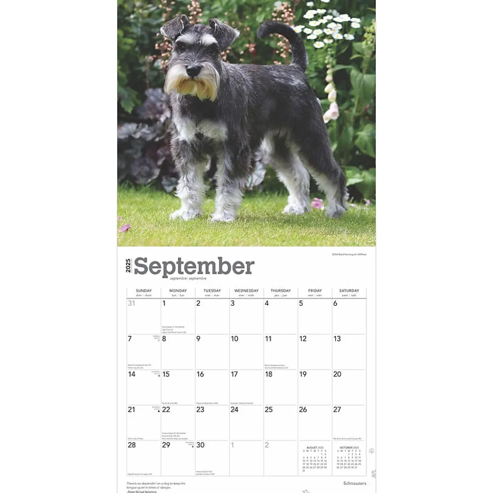 2025 Calendars|BrownTrout 2025 Schnauzers 12" x 24" Monthly Square Wall Calendar (9781975477677)