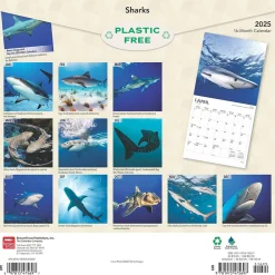 2025 Calendars|BrownTrout 2025 Sharks 12" x 12" Monthly Square Wall Calendar (9781975475697)