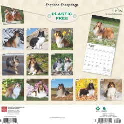 2025 Calendars|BrownTrout 2025 Shetland Sheepdogs 12" x 24" Monthly Square Wall Calendar, (9781975477721)