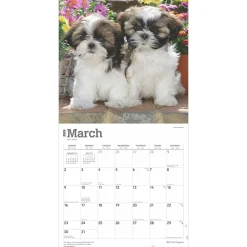 2025 Calendars|BrownTrout 2025 Shih Tzu Puppies 12