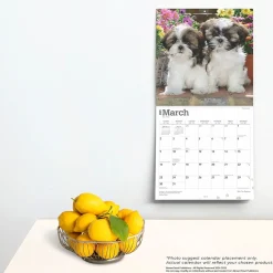 2025 Calendars|BrownTrout 2025 Shih Tzu Puppies 12