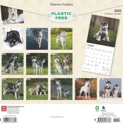 2025 Calendars|BrownTrout 2025 Siberian Huskies 12" x 24" Monthly Square Wall Calendar (9781975477776)