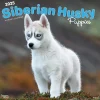 2025 Calendars|BrownTrout 2025 Siberian Husky Puppies 12" x 12" Monthly Wall Calendar (9781975477783)
