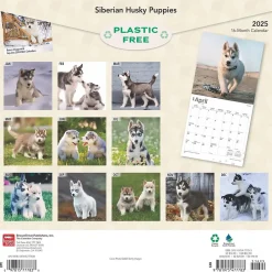 2025 Calendars|BrownTrout 2025 Siberian Husky Puppies 12" x 12" Monthly Wall Calendar (9781975477783)