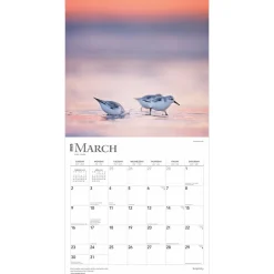 2025 Calendars|BrownTrout 2025 Simplicity 12