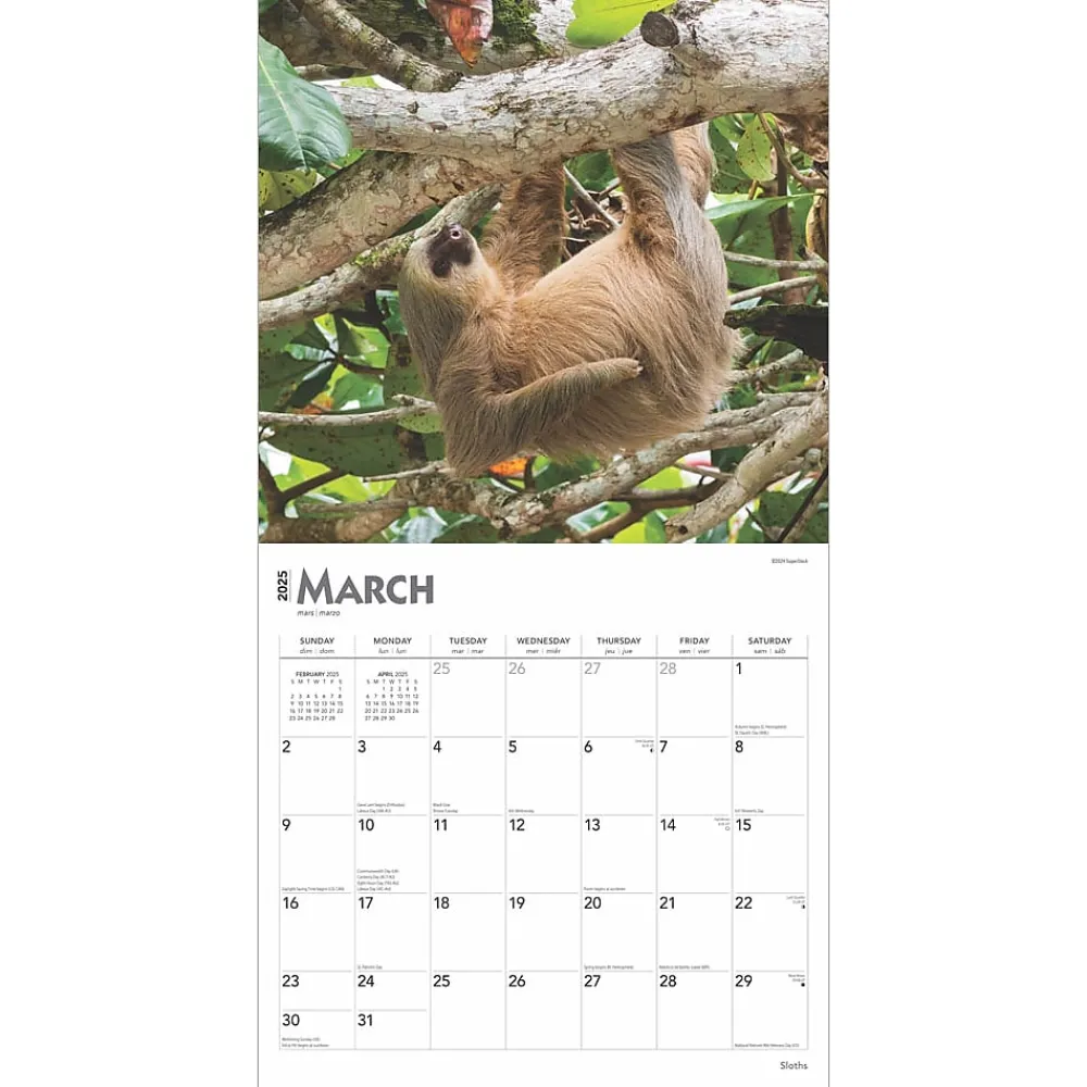 2025 Calendars|BrownTrout 2025 Sloths 12" x 12" Monthly Square Wall Calendar (9781975475703)
