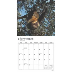 2025 Calendars|BrownTrout 2025 Sloths 12