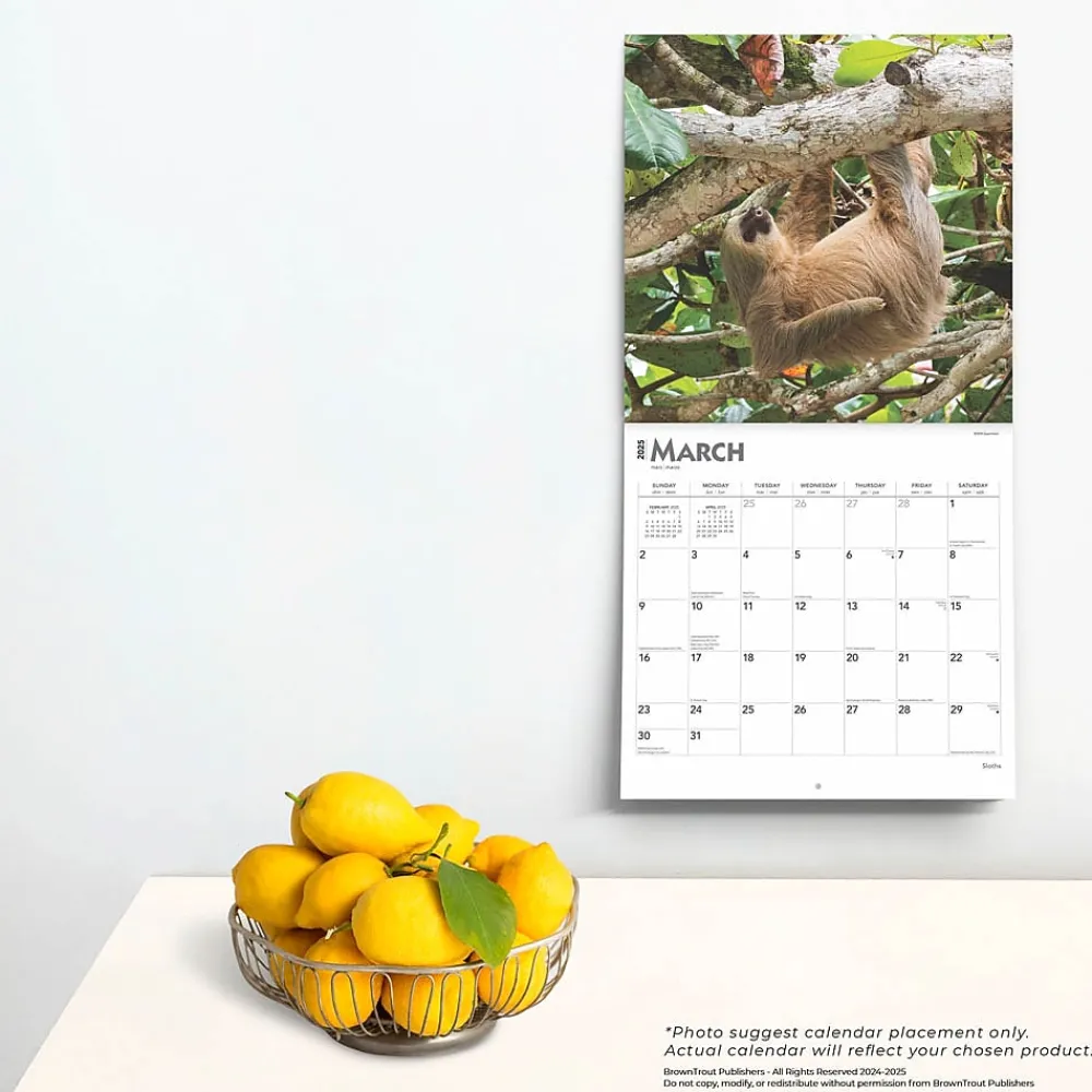 2025 Calendars|BrownTrout 2025 Sloths 12" x 12" Monthly Square Wall Calendar (9781975475703)