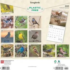 2025 Calendars|BrownTrout 2025 Songbirds 12" x 12" Monthly Square Wall Calendar (9781975477806)
