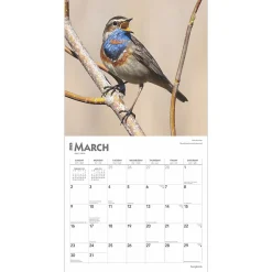 2025 Calendars|BrownTrout 2025 Songbirds 12