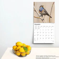 2025 Calendars|BrownTrout 2025 Songbirds 12