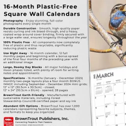 2025 Calendars|BrownTrout 2025 Songbirds 12